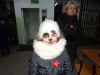 dsc04166